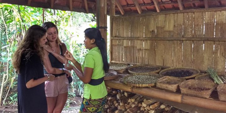 excursions en bali con chofer habla espanol bali indonesia