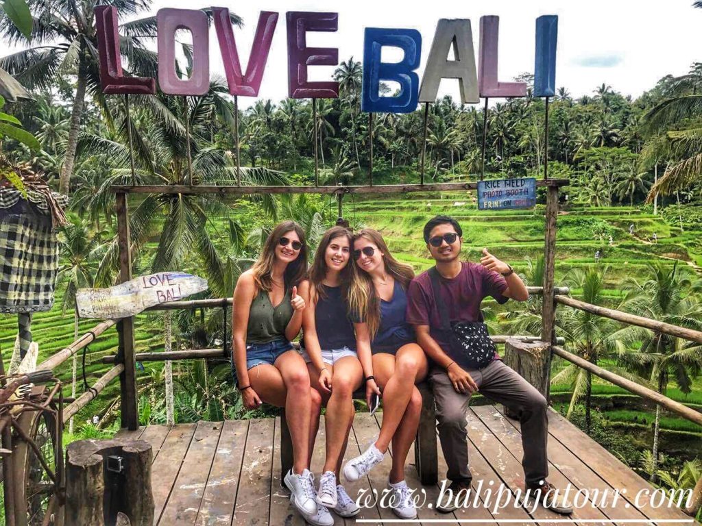 bali private tour package and tour driver service