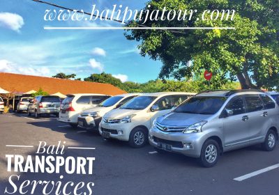 Car Hire in Bali with Private Driver and Petrol