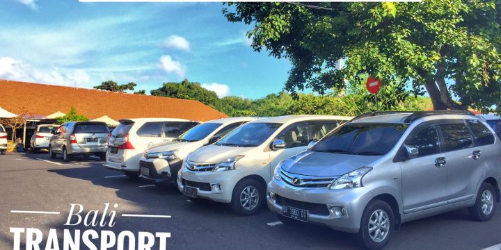Car Hire in Bali with Private Driver and Petrol