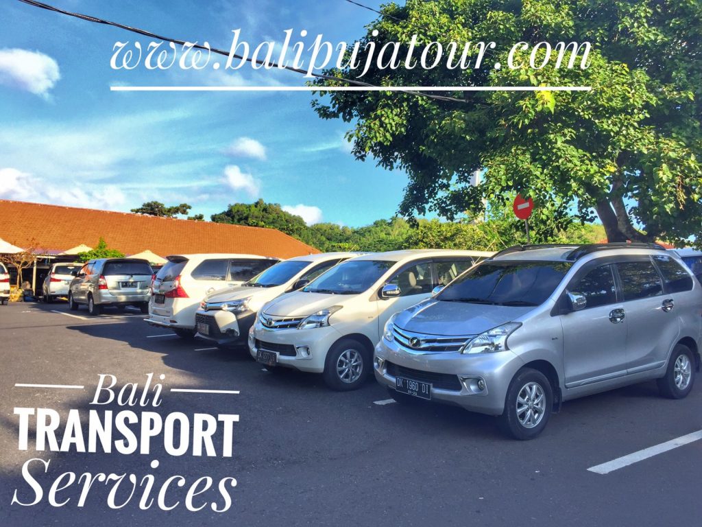 bali private transport services