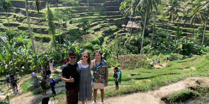 Best Ubud Bali Driver Private Tour