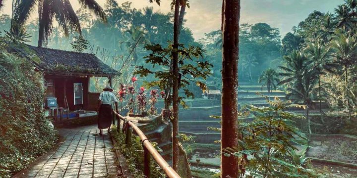 All You Need to Know about Bali Tour and Travel