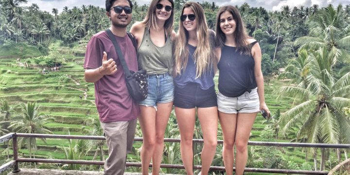 Tips How to Choose the Best Bali Private Tour Driver