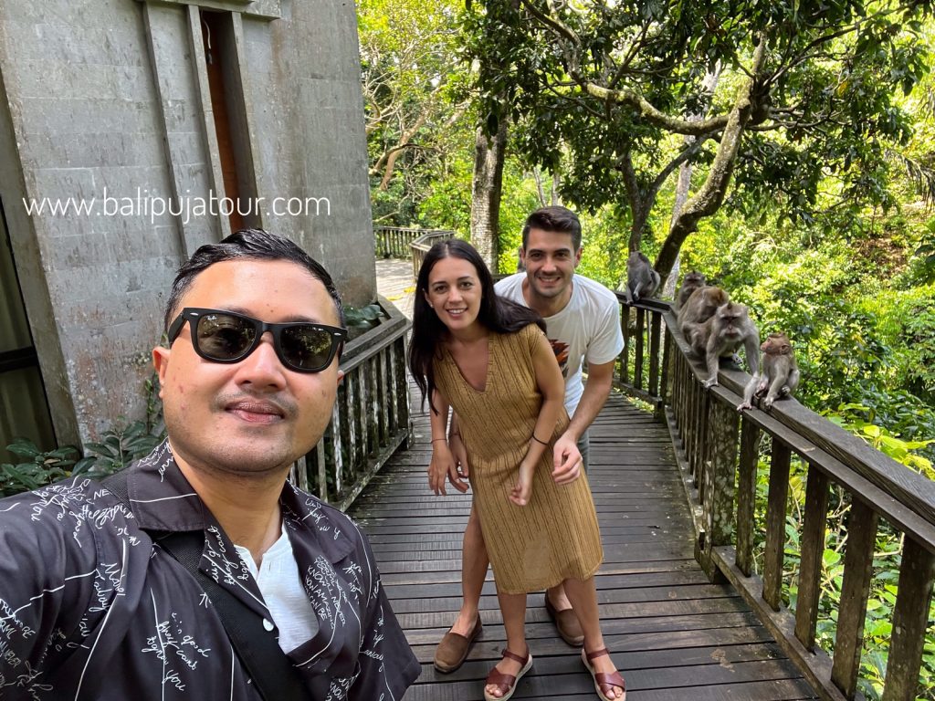 bali monkey forest trip tour bali with tour guide