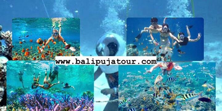 Tanjung Benoa Watersport Tour Packages with Bali Driver