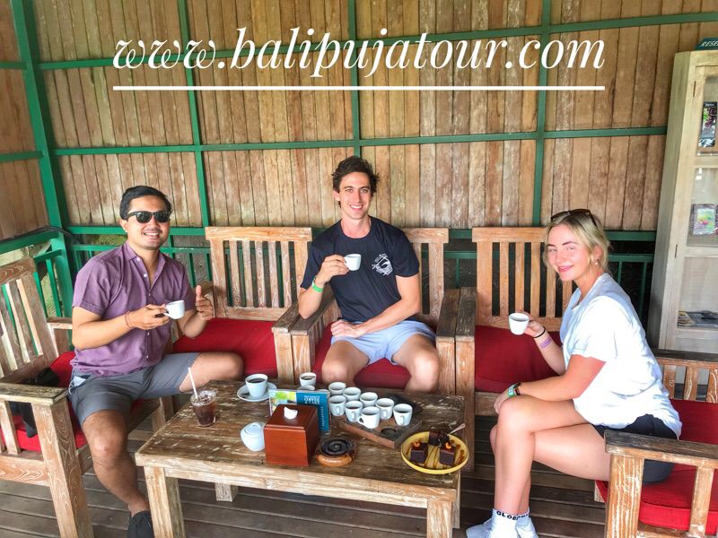 private tour guide and driver in bali