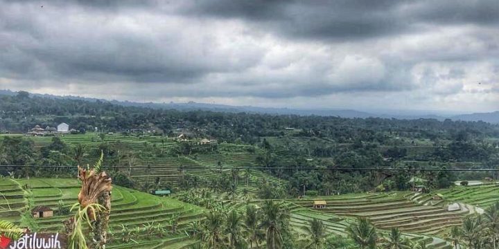 The Best Tour Package | Rice Fields Unesco Bali