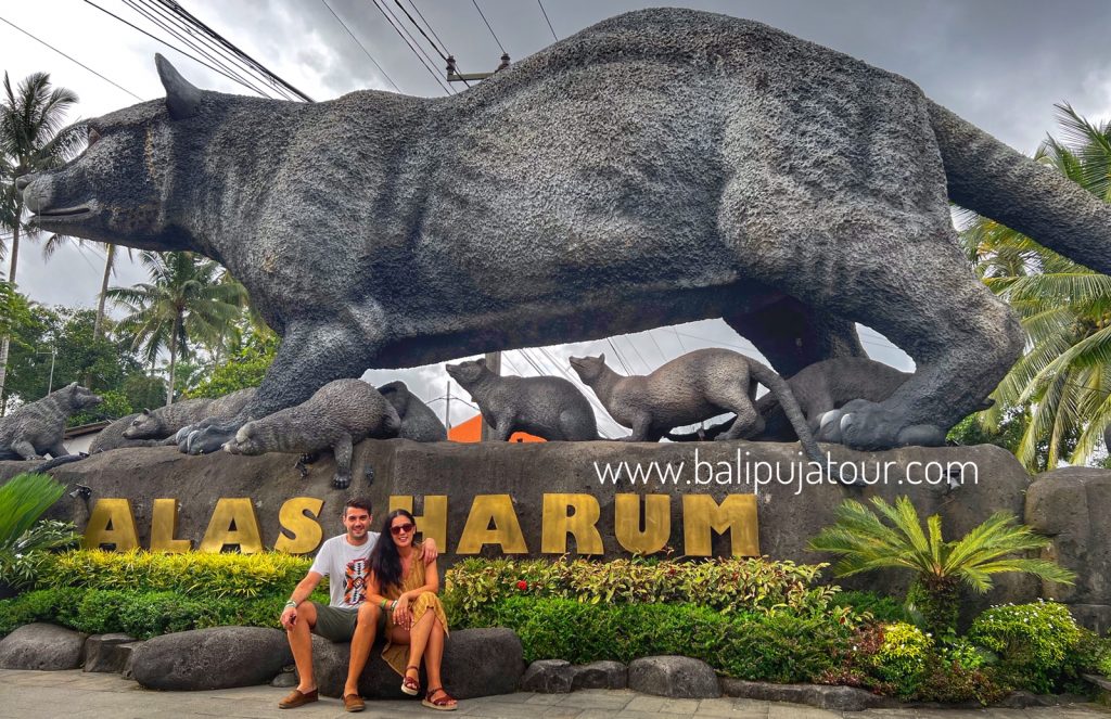 ALAS HARUM BALI TOUR WITH BALI PRIVATE DRIVER