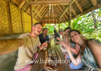 Bali private car rental with local bali driver tripadvisor