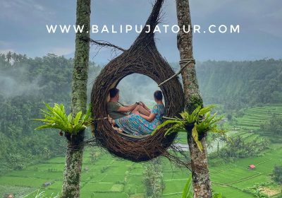 Why the Best Private Bali Day Tours Start with a Local Driver