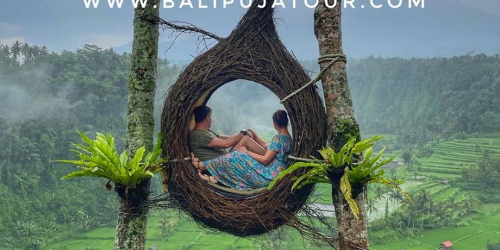 Why the Best Private Bali Day Tours Start with a Local Driver