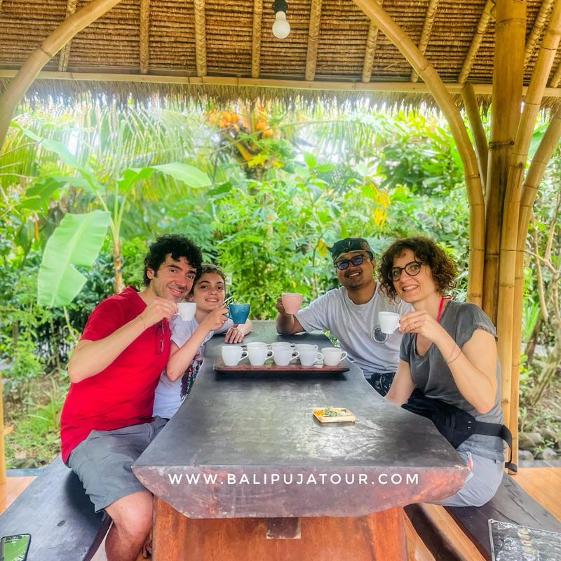 bali private car with driver