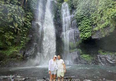 Ubud Private Tour with Local Guide