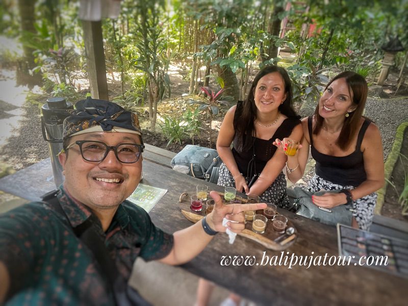 escursiones en bali desde ubud