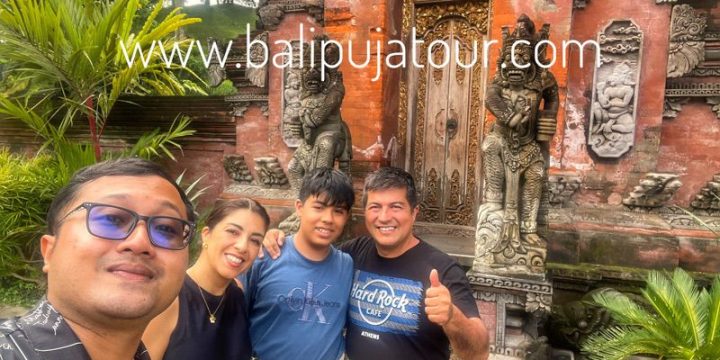 coche con conductor bali precio