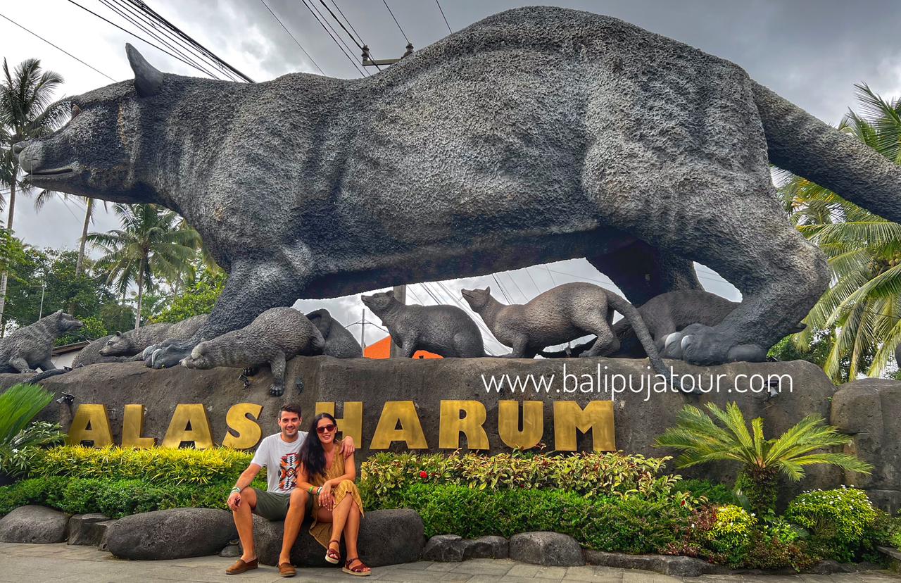 bali tour custom and car charter with driver